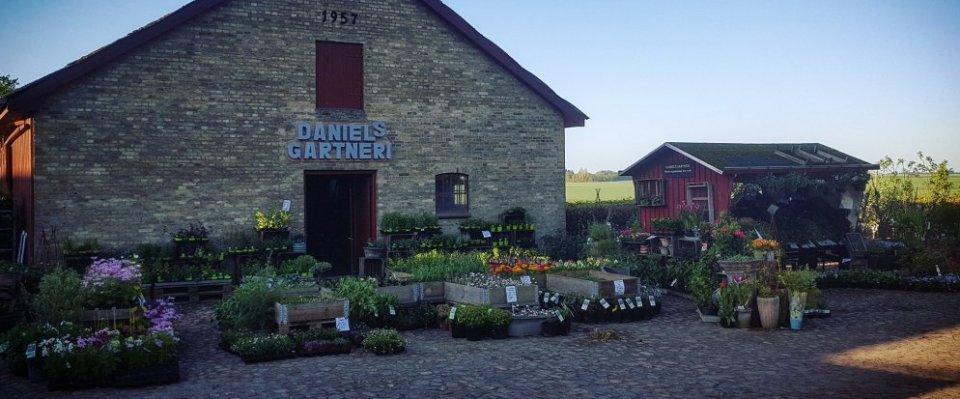 Planter, blomster & haveservice